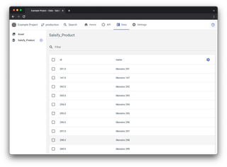 A screenshot of the data page previewing Salsify data