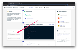A screenshot of the dashboard demonstrating the location of the project ID